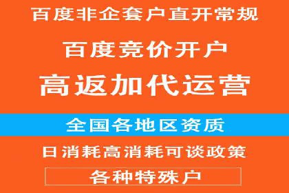 竞价代运营成功案例：快速占领市场
